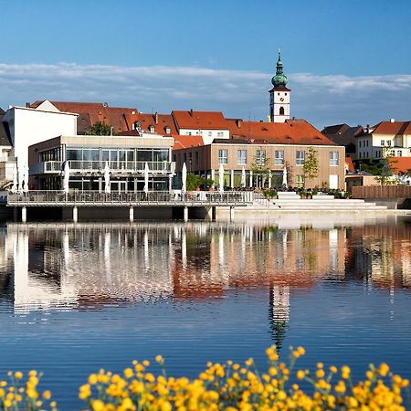 Seenario - Art & Health Hotel Am See Tirschenreuth Zewnętrze zdjęcie
