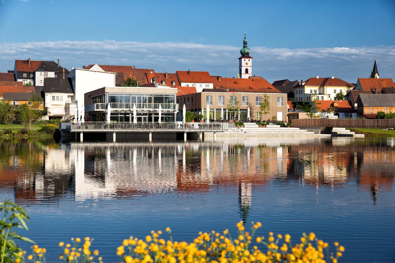 Seenario - Art & Health Hotel Am See Tirschenreuth Zewnętrze zdjęcie